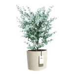 eden 30cm blanco lino